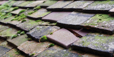 Padworth roof repair costs